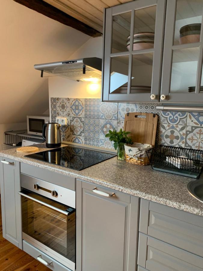 Apartman Jachymov Klinovec 外观 照片