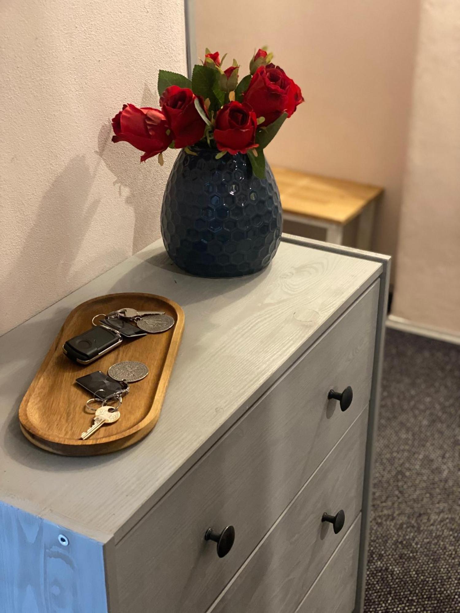 Apartman Jachymov Klinovec 外观 照片